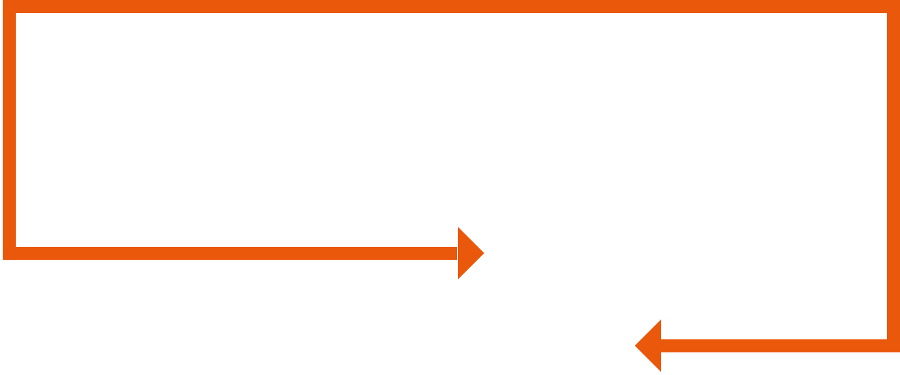 Extraordinary Advisors Logo